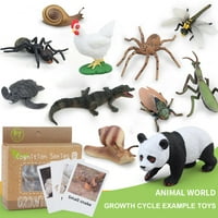 Реалистични играчки за жизнен цикъл за творческо научно образование жаба, пчела, панда, мацка, пеперуда, риба и растителни фигурки за малки деца, деца в предучилищна възраст и деца
